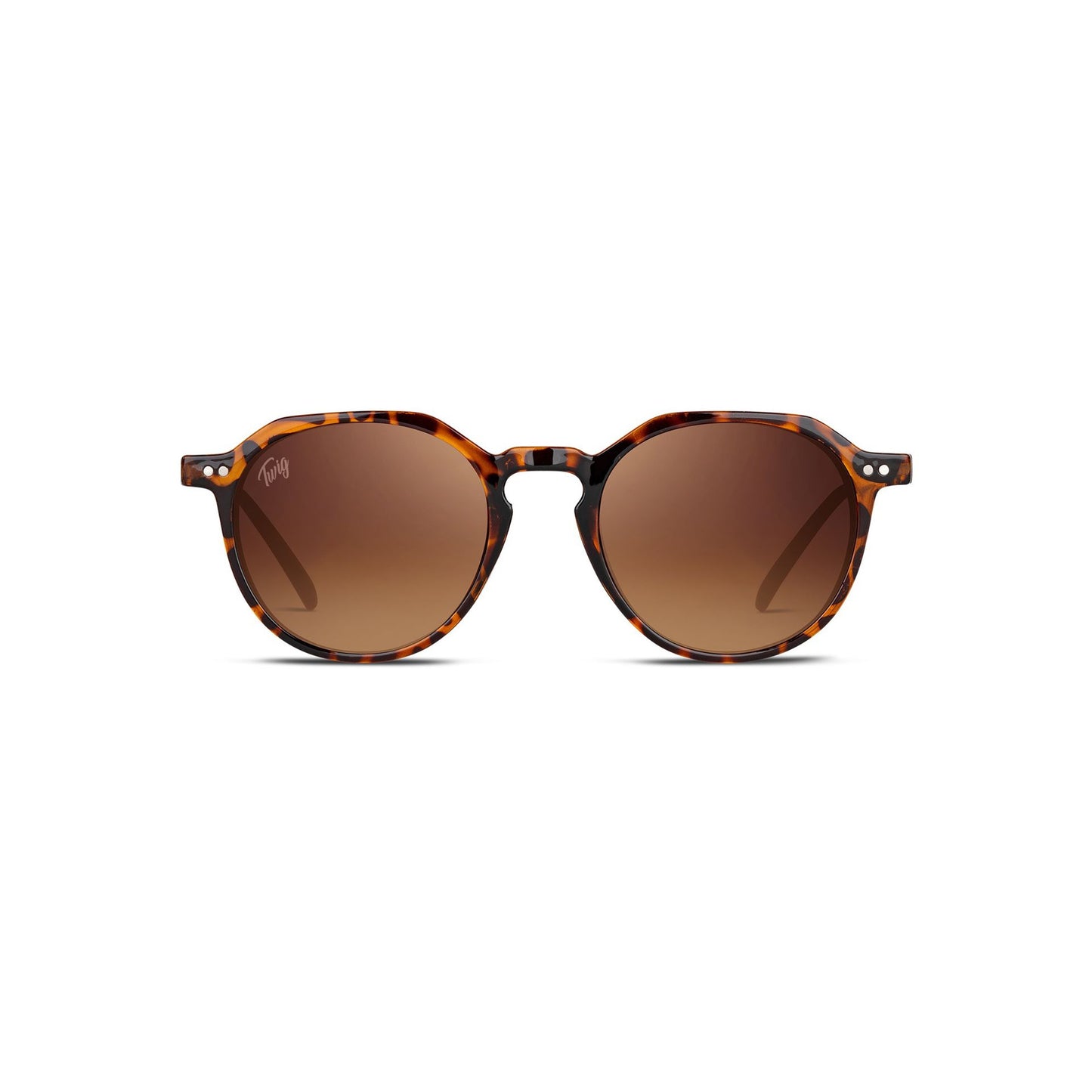 Twig Lunettes de soleil